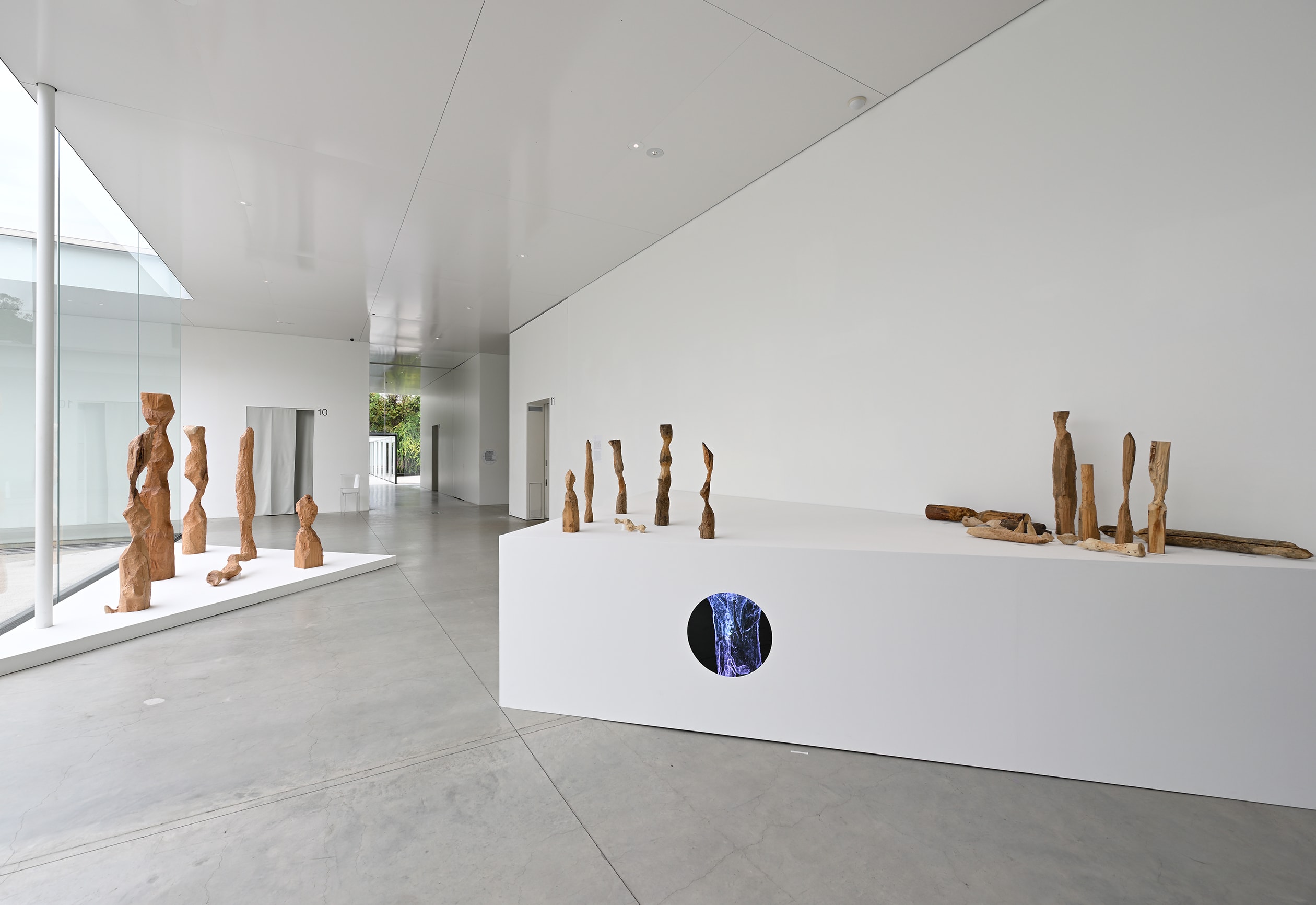 Exhibition: “DANCING WITH ALL: The Ecology of Empathy